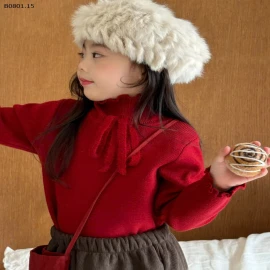 Áo len cổ lọ viền bèo dễ thương -sỉ 172k