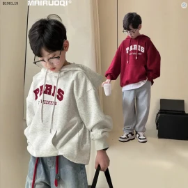 ÁO NỈ HOODIE CHO BÉ-sỉ 133k