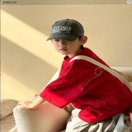  ÁO PHÔNG TRƠN CHỮ LƯNG Zhili-Sỉ 118k