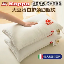 Sét 2 ruột gối chuẩn hãng-Sỉ 195k/ 1 sét 2c