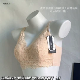 ÁO LÓT REN NỮ -sỉ 119k