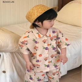 SET BỘ BÉ HOẠ TIẾT LINANXI-sỉ 192k