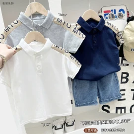 ÁO POLO CỘC TAY NHÀ KACADY-sỉ 110k