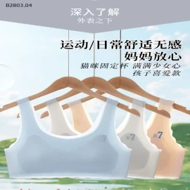 ÁO LÁ KÈM MÚT CHỐNG LỘ CHO BG -sỉ 45k