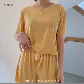 BỘ CỘC MẶC NHÀ CHO NỮ -sỉ 63k