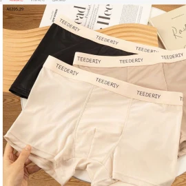 SET 4 QUẦN SỊP ĐÙI NAM TEEDERITYY -sỉ 85k/set 4c mix màu