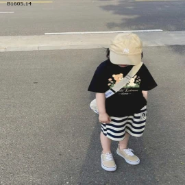 ÁO THUN CHO BÉ GÁI -sỉ 80k