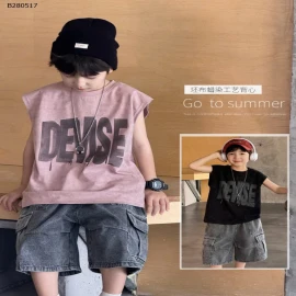 áo  phông in chữ cũ không tay-Sỉ  giá  áo: 133k 