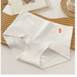 QUẦN LÓT BOXER NỮ KHÁNG KHUẨN 10A  - sỉ 100k/ 3c chọn màu