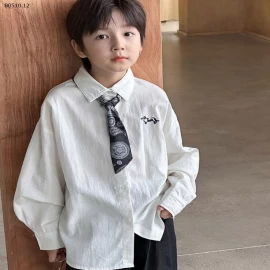 SƠ MI AMBB THÊU NGỰC -Giá sỉ Giá: 90-150: 163k 160: 178k 170: 194k