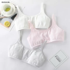 ÁO BRA COTTON QUAI NHỎ- sỉ 102k/set 3c mix