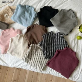 Áo cổ cao giữ nhiệt màu Basic nhà Ambb-Giá sỉ  sz90-150: 88k sz   160: 100k sz  170: 110k