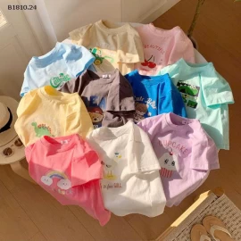 Áo thun Lyocell in hình hoạt hình  cho bé - sỉ giá 71k/chiếc