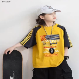 ÁO THUN VÀNG PHỐI TAY SỌC VAI-sỉ 153k