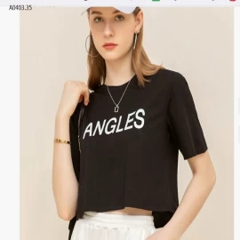 Áo canvas mùa hè  - sỉ 202k