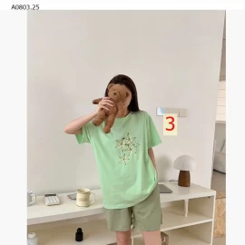 BỘ CỘC TRÁI CÂY MÙA HÈ - sỉ 191k