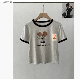 ÁO THUN CÚN CỔ TRÒN- sỉ 143k