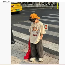 ÁO THUN SÓC FANSHU- sỉ 165k