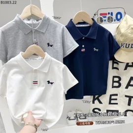 BST ÁO POLO CỘC TAY NHÀ KACADY Giá sỉ 113k