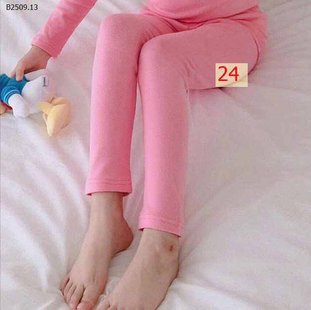MẪU 24