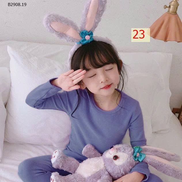 MẪU 23