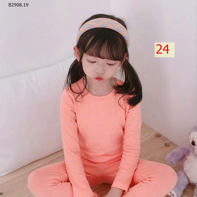 MẪU 24