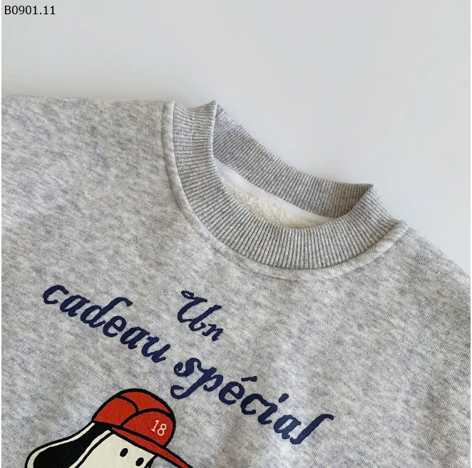 ÁO HOODIE CHO BÉ BCZY-sỉ 145k
