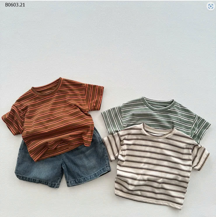 Áo phông dễ mix nhất quả đất -sỉ 114k