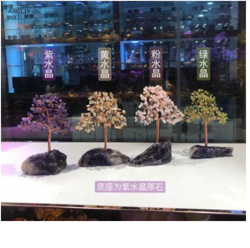 CÂY PHÁT TÀI-sỉ 175k