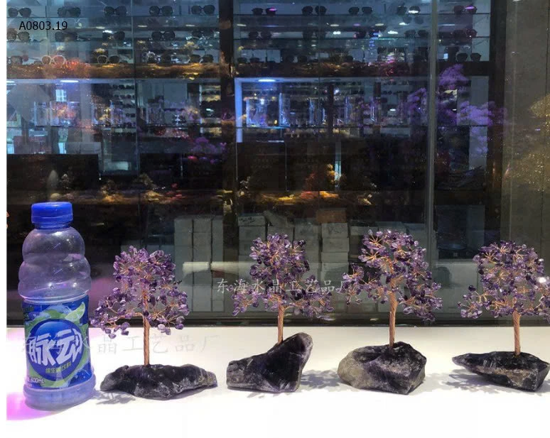 CÂY PHÁT TÀI-sỉ 175k