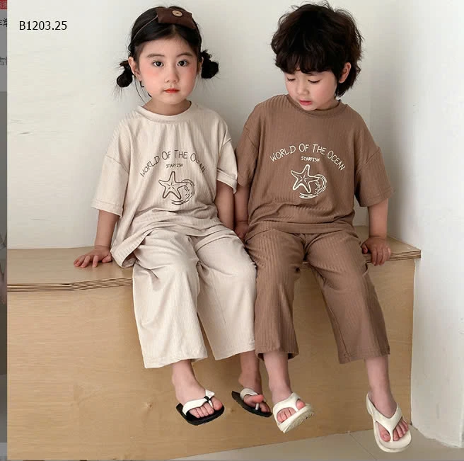 BỘ THUN GÂN CỘC TAY TONE VINTAGE -sỉ 144k