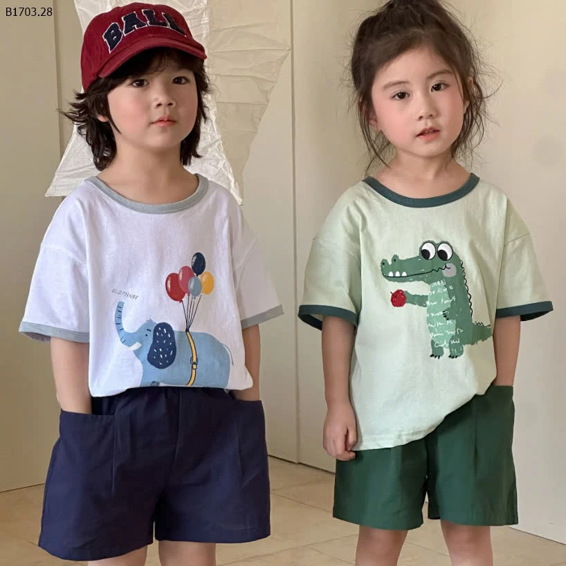 BỘ DIỆN HÈ BG BT-sỉ 144k