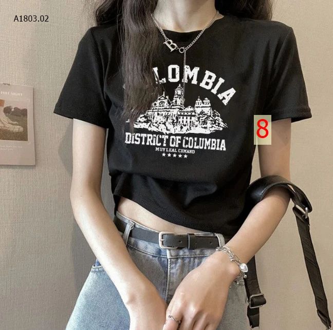 ÁO PHÔNG CROPTOP sỉ 94k