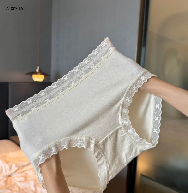 SET 6 QUẦN CHIP VIỀN REN NỮsỉ 140k/set 6c