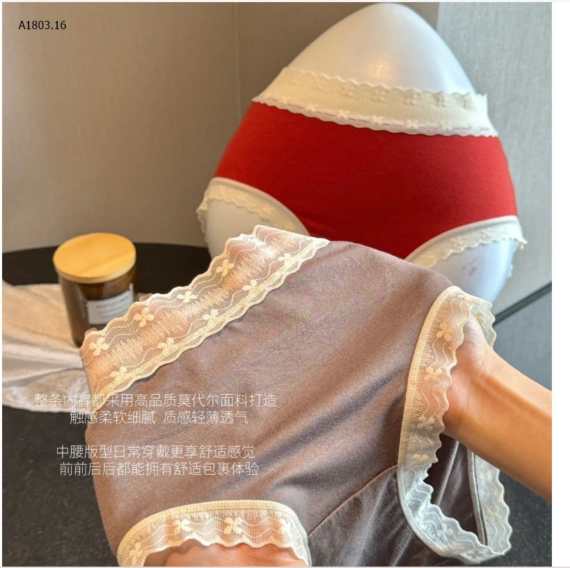 SET 6 QUẦN CHIP VIỀN REN NỮsỉ 140k/set 6c