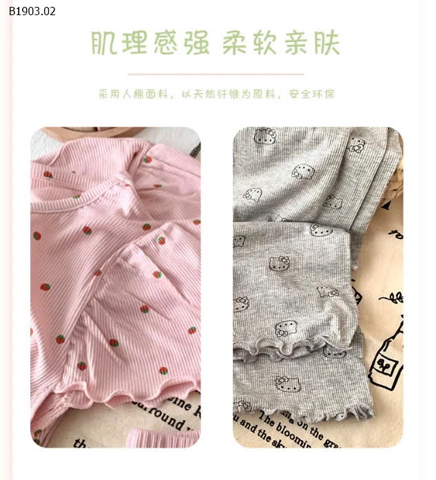 BỘ THUN COTTON HOA NHÍ BG QCCC-sỉ 100-120 : 116K           130-150 : 137K           160-170 : 158K 