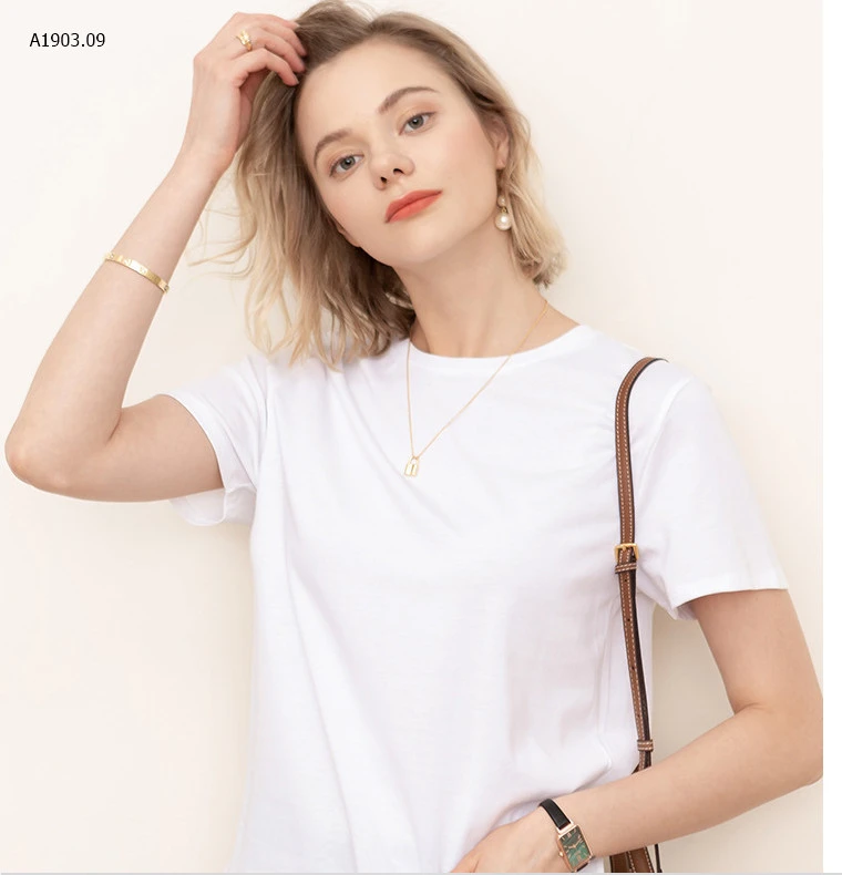 ÁO PHÔNG  CANVAS BASIC -sỉ 170k
