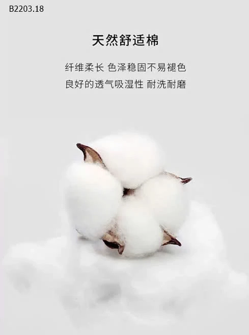 BỘ PYJAMA HONEY -sỉ 193k