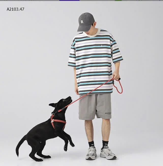 ÁO PHÔNG KẺ  NHÀ CITY BOY-sỉ 174k