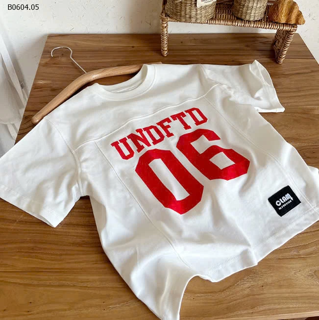 ÁO THUN SỐ 06-sỉ 113k