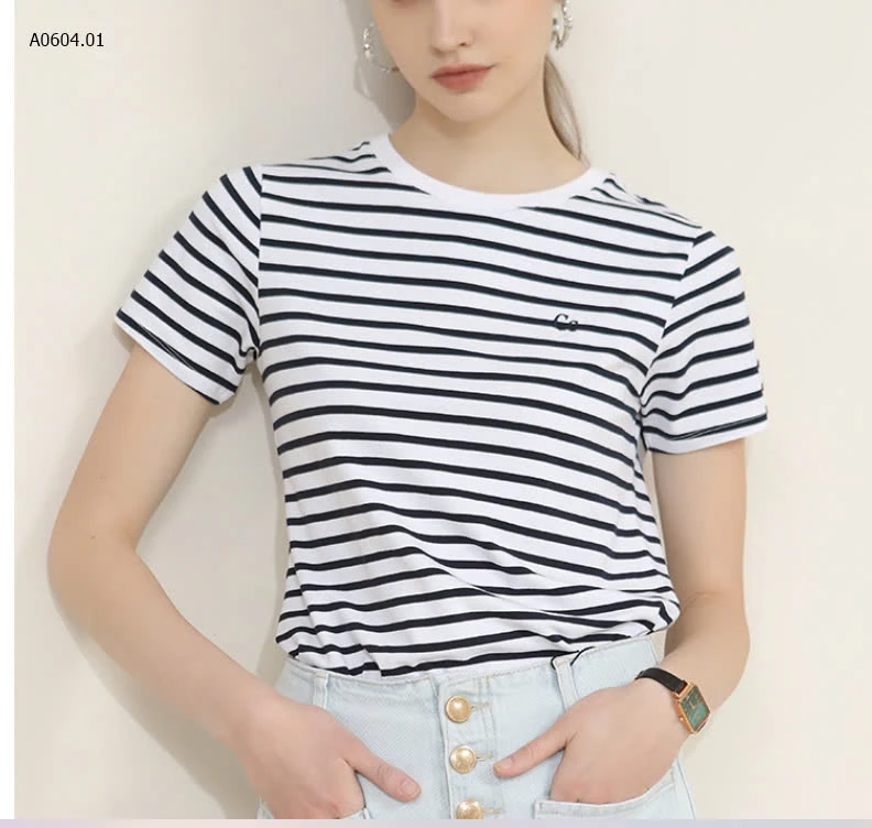 ÁO PHÔNG  CANVAS BASIC-sỉ 173k