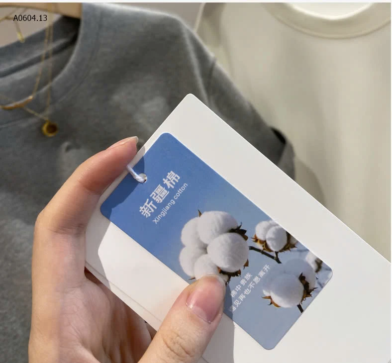 Áo phông cotton INBLUE NEW IN-sỉ 171k