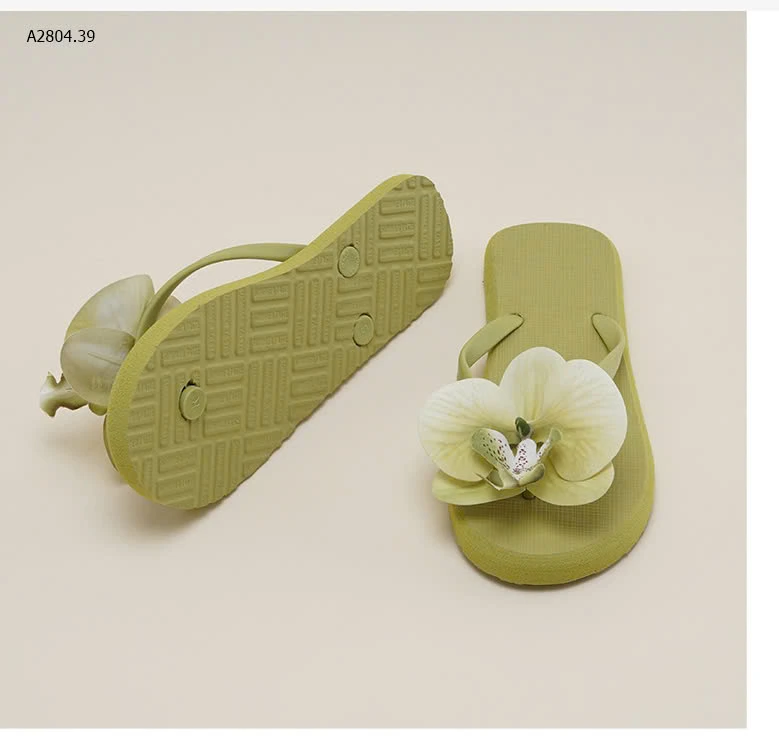 DÉP TÔNG XỎ NGÓN CHO NỮ-sỉ 61k