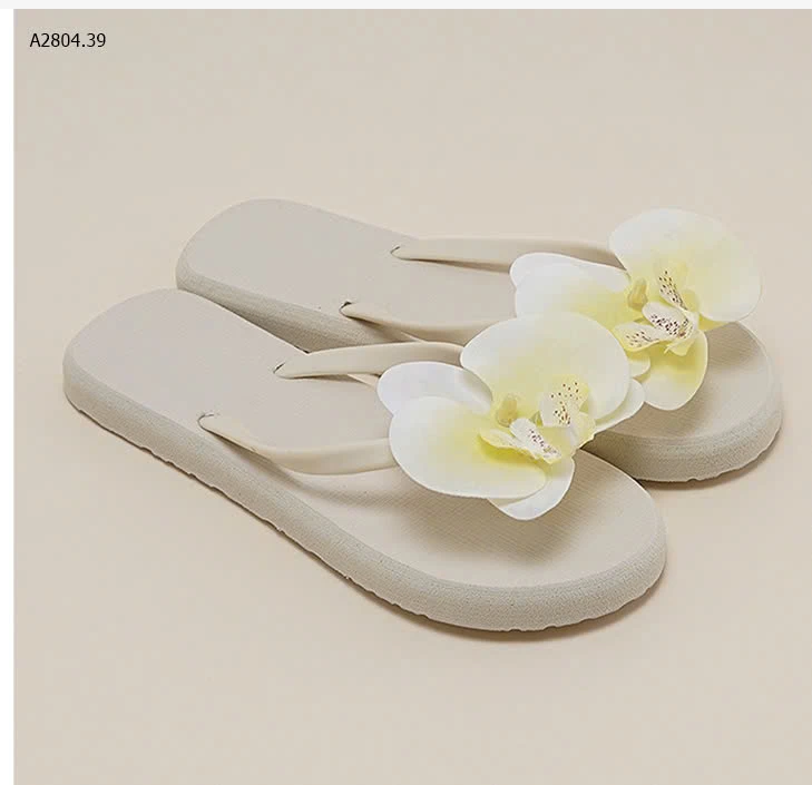 DÉP TÔNG XỎ NGÓN CHO NỮ-sỉ 61k