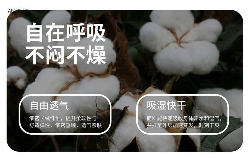 SET 12 QUẦN CHIP-sỉ 160k/set 12c mix màu