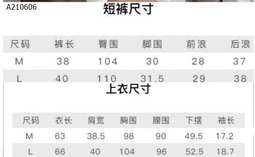 BỘ THỂ THAO INSIST MẪU NEW CHÍNH HÃNG NỘI ĐỊA TRUNG  - sỉ 120k