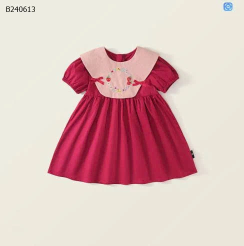 Váy thêu phong cách Pháp nhà PREMIUM ICON-Sỉ 138K