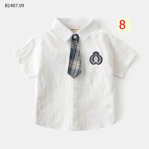  SƠ MI CỘC TAY NHÀ WAPYPY-Sỉ 99k