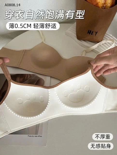 Áo lót nâng ngực cho nữ-Sỉ giá 73k/1 chiếc 