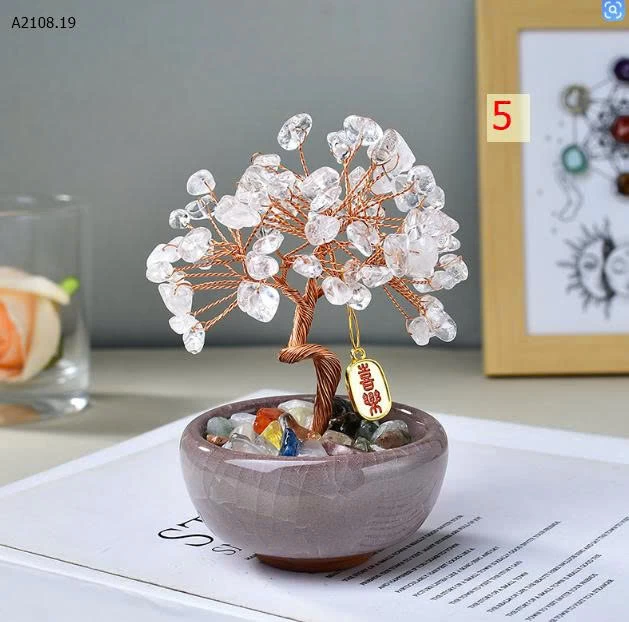 CÂY PHÁT TÀI MINI -sỉ 70k